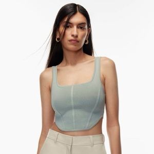 Aritzia Babaton Sculpt Knit Bustier Tank